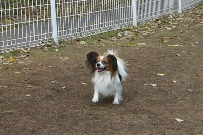 e0100046_1829397.jpg