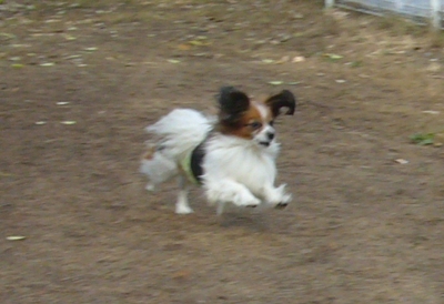 e0100046_182989.jpg