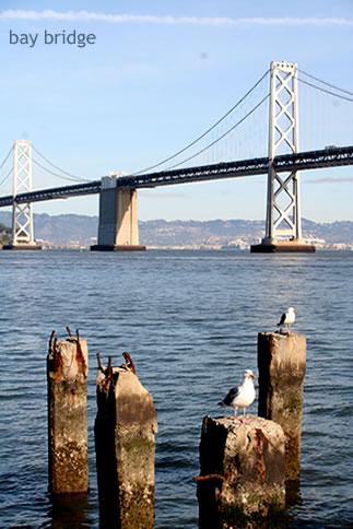 クリスマス休暇　SF　二日目　【 bay bridge 】_d0124248_17421641.jpg