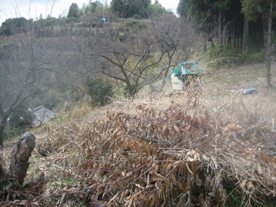 f0148649_21144821.jpg