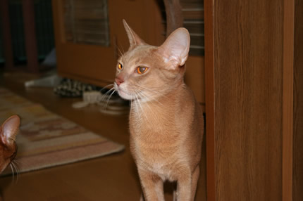 d0008256_01384.jpg