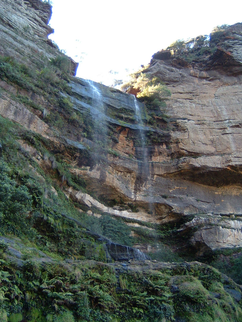 a0035574_239070.jpg