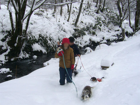 飛騨高山の旅　3日目_e0078285_22124554.jpg