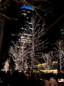 f0091785_1412559.jpg