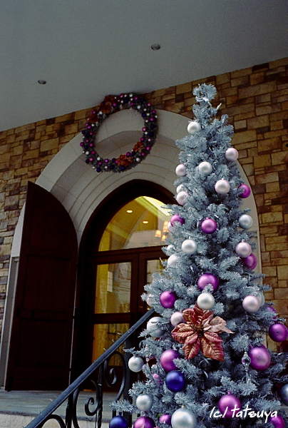 f0139991_2331410.jpg