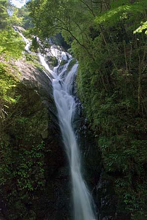 c0087392_2340998.jpg