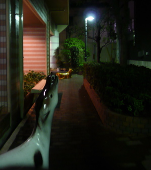 f0146198_14175990.jpg