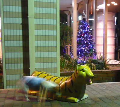f0146198_1492197.jpg