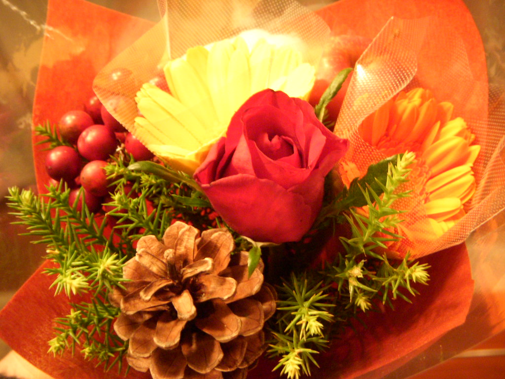 b0089407_16203629.jpg