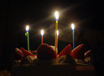 a0055913_20302799.gif