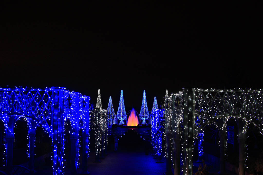 d0085715_23325885.jpg