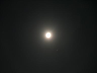 e0094920_3473822.jpg