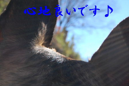 c0130324_0143879.jpg