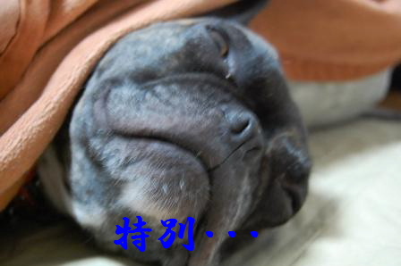 c0130324_23432840.jpg
