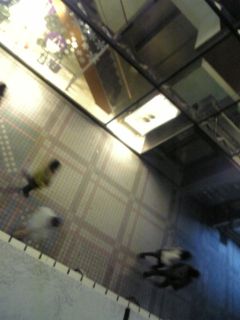 c0019727_20274789.jpg