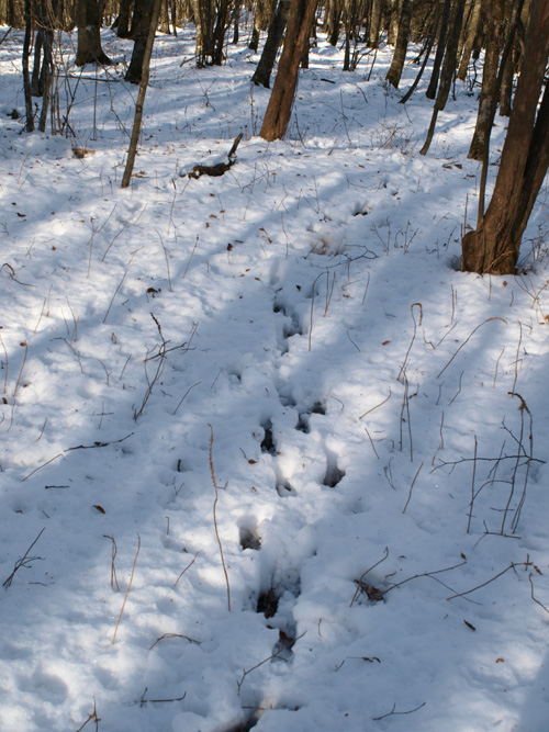 c0006928_2031576.jpg