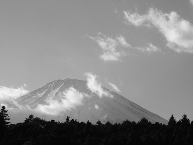 c0006928_2241739.jpg