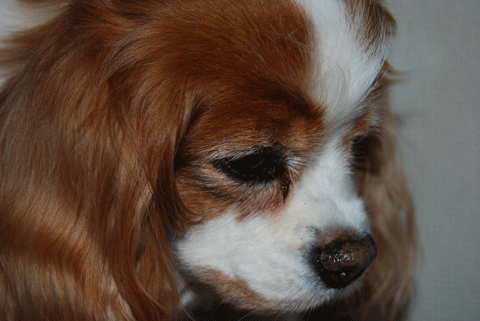c0136838_23361939.gif