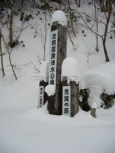f0065941_02289.jpg