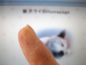 今年のブログ納め?_c0049950_19352457.jpg