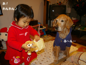 f0086355_0485737.jpg