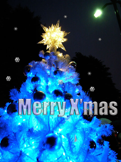Merry X\'mas_e0084756_18521951.jpg