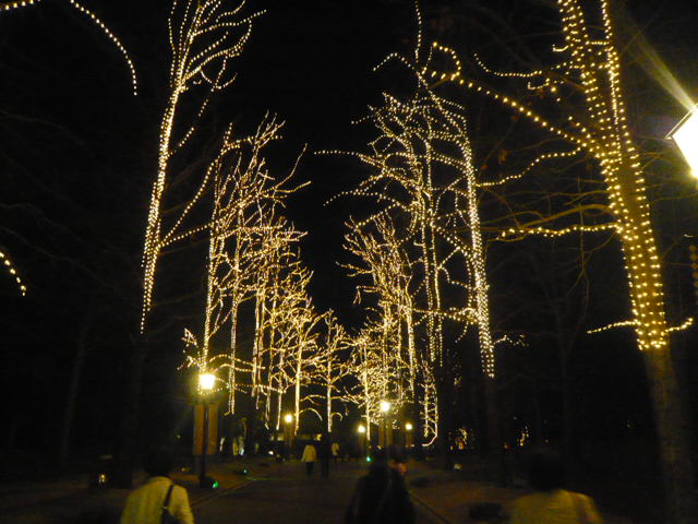 f0142768_039415.jpg