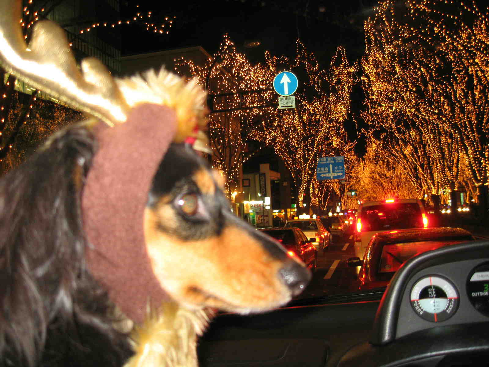 d0085470_19494817.jpg
