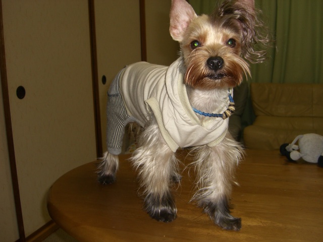 e0120072_2351410.jpg