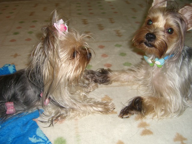 e0120072_23552852.jpg