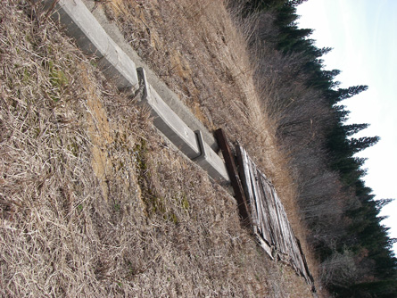 c0087773_22241519.jpg