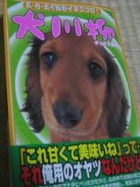 犬川柳　ダックス風味_f0007689_1122441.jpg