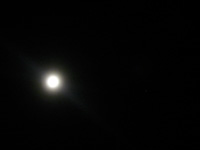 a0107792_011446.jpg