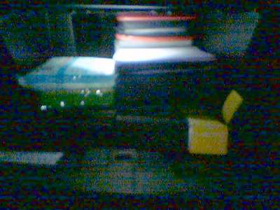 a0008202_2345348.jpg