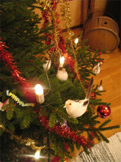 d0134806_23233.jpg