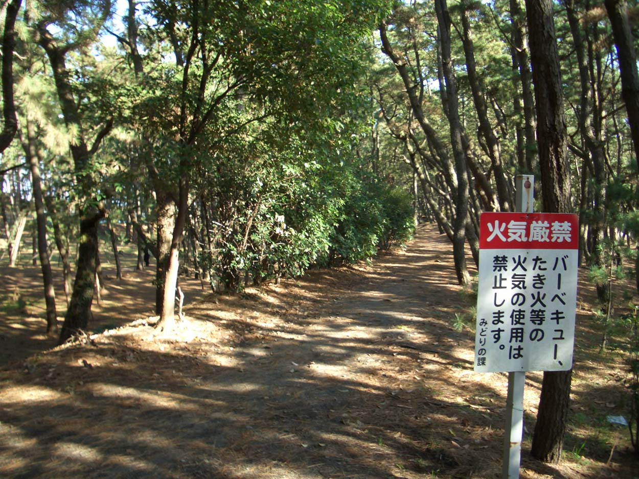 一万歩 田子浦 松籟コース_f0141310_23245215.jpg