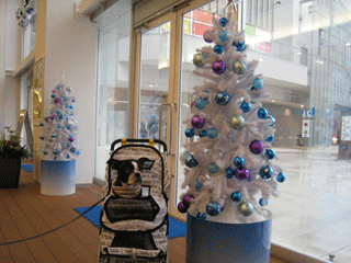 e0080117_236306.gif