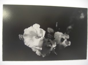 443）③資料館 「北大写真部とその関係者が５室を使った写真展」 終了・12月18日（火）～12月24日（月）_f0126829_23522213.jpg