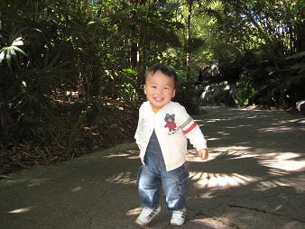 a0080833_157497.jpg