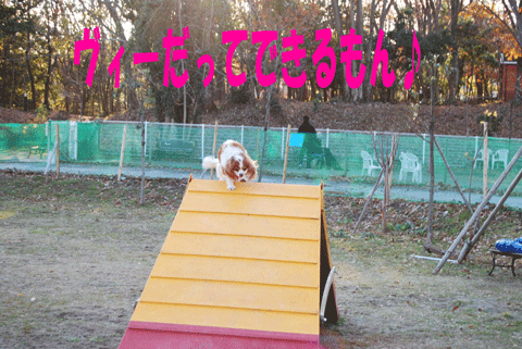 c0136838_1111891.gif