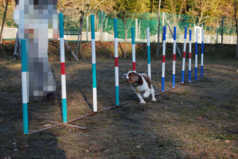 c0136838_182641.gif