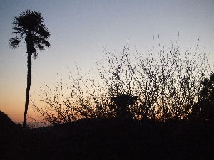 a0054240_22182787.jpg
