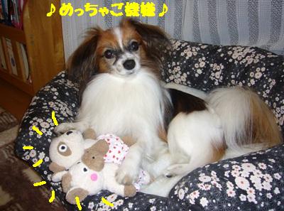 e0100046_027381.jpg