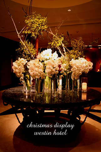 クリスマス休暇 SF 四日目 【 Westin hotel Market st 】_d0124248_14525453.jpg