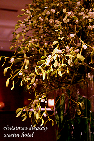 クリスマス休暇 SF 四日目 【 Westin hotel Market st 】_d0124248_14561687.jpg