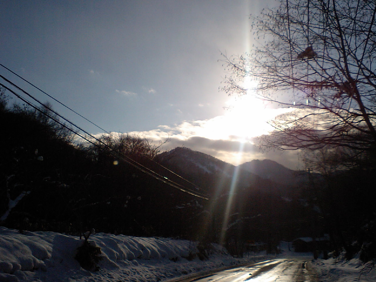d0098665_18274820.jpg