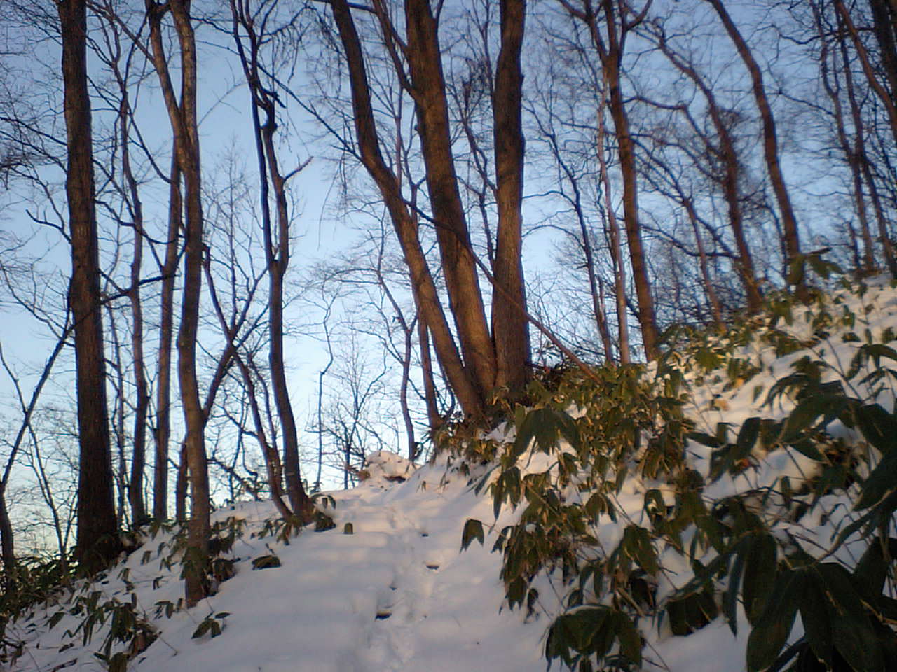 d0098665_1831850.jpg