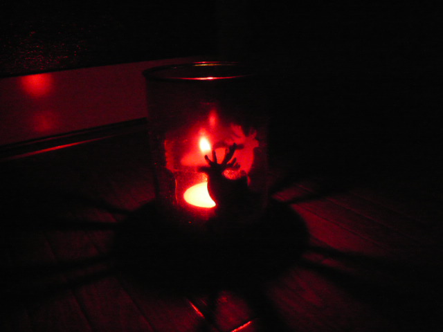 f0142768_0472414.jpg