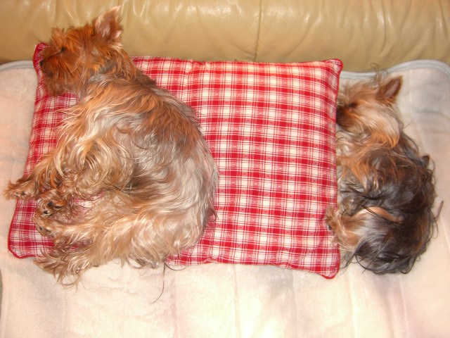 e0120072_015372.jpg