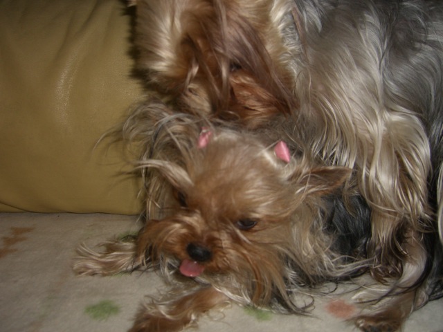 e0120072_073396.jpg